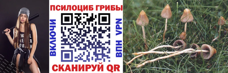 Псилоцибиновые грибы Magic Shrooms  Касимов 