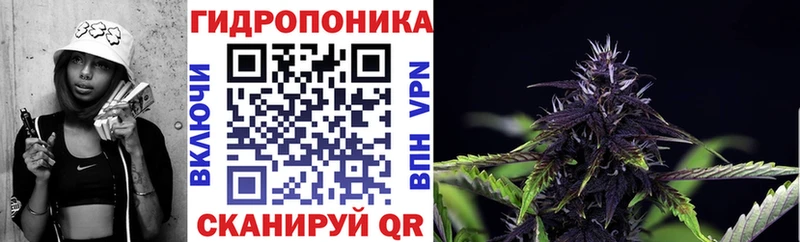закладки Касимов нарко площадка официальный сайт Бошки Шишки планчик